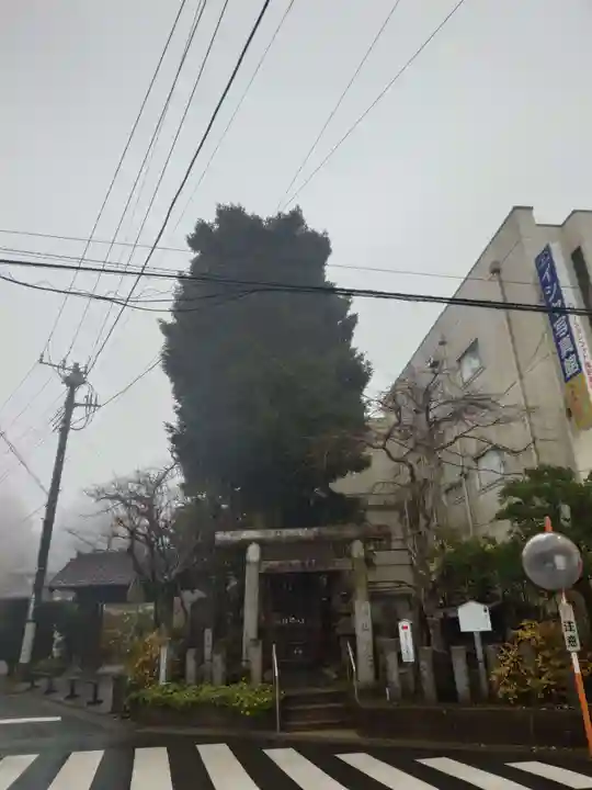 鹿島神宮(茨城県)