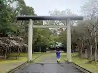 乃木神社の鳥居