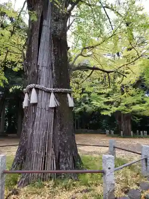 赤坂氷川神社(東京都)
