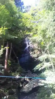 如意輪寺の自然