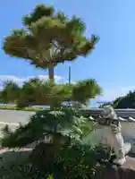 真光院西寺(岡山県)