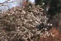 鹿島大神宮の庭園