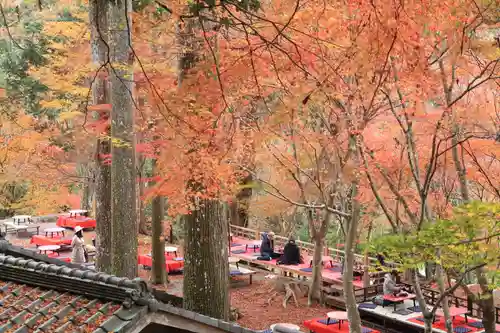 神護寺の庭園