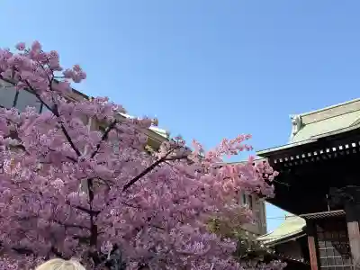 桜神宮の{uncategorized: "未分類", other: "その他", undefined: "問題あり", building: "その他建物", grave: "お墓", sacred_gate: "鳥居", guardian: "狛犬", statue: "像", buddha: "仏像", history: "歴史", nature: "自然", garden: "庭園", animal: "動物", pagoda: "塔", temizu: "手水舎", mountain_gate: "山門・神門", sanctuary: "本殿・本堂", subordinate: "末社・摂社", art: "芸術", scenery: "景色", jizo: "地蔵", ema: "絵馬", goshuin: "御朱印", omikuji: "おみくじ", items: "授与品その他", amulet: "お守り", goshuincho: "御朱印帳", eats: "食事", festival: "お祭り", votive_dance: "神楽", shichigosan: "七五三参", wedding: "結婚式", experience: "体験その他", initially: "初詣", around: "周辺", anti_infection: "感染症対策"}