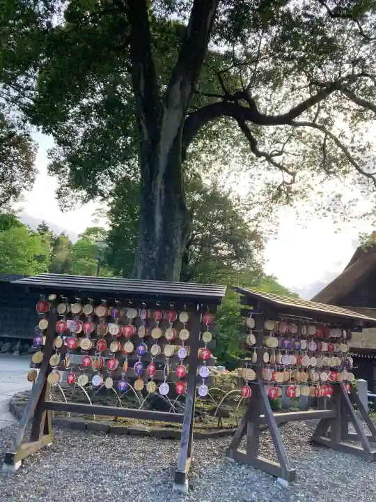 達磨寺(群馬県)