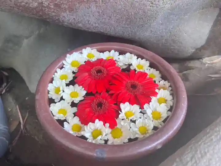 菅生神社の手水舎
