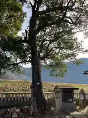 新宮八幡神社(兵庫県)