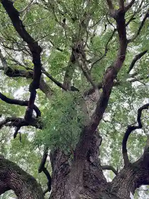感應寺(東京都)