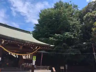 峯ヶ岡八幡神社の本殿・本堂