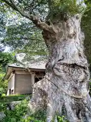 賀茂神社(山形県)