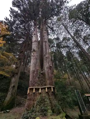 御岩神社(茨城県)
