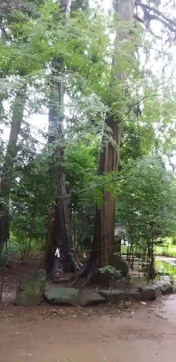 大宝八幡宮の自然
