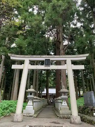 山宮浅間神社の鳥居