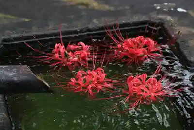 国宝 大法寺の手水舎