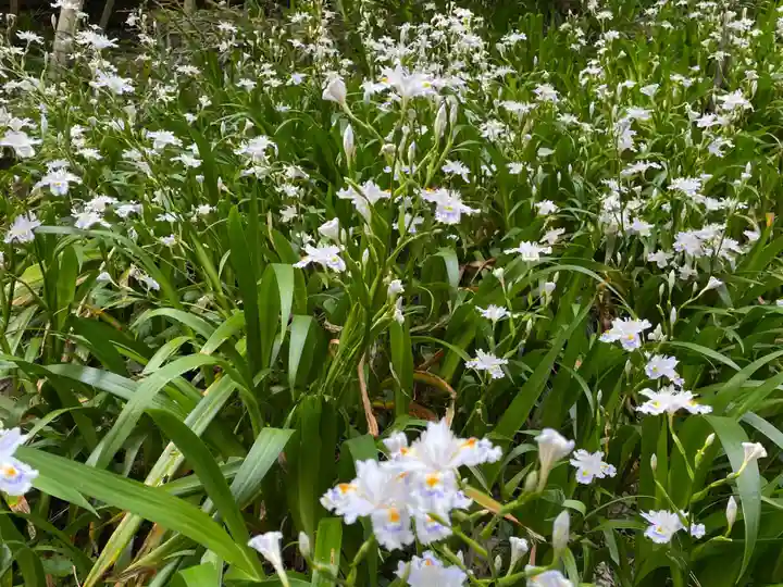 松尾寺(京都府)
