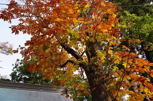 蠶養國神社の自然