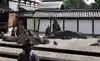 東福禅寺(東福寺)の庭園