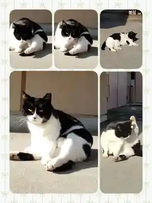 白金氷川神社(東京都)