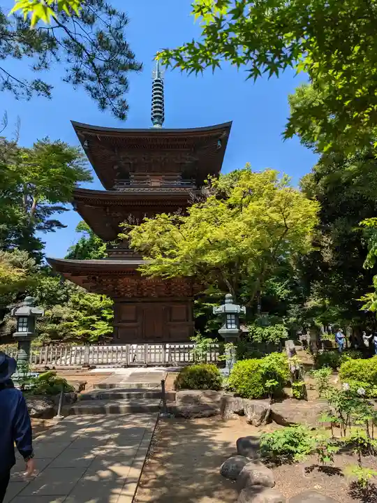 豪徳寺(東京都)