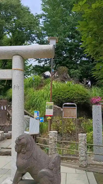 鳩森八幡神社(東京都)
