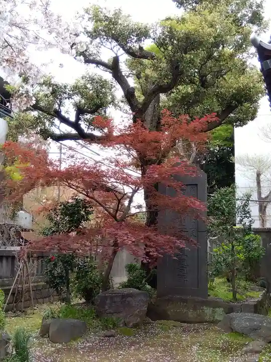 護国院(東京都)