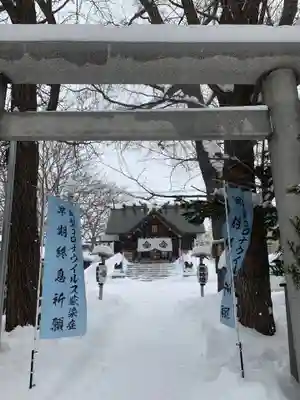 札幌諏訪神社の鳥居