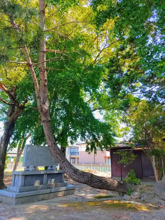 松山神社(鍋片)の自然