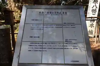 柞原八幡宮(大分県)