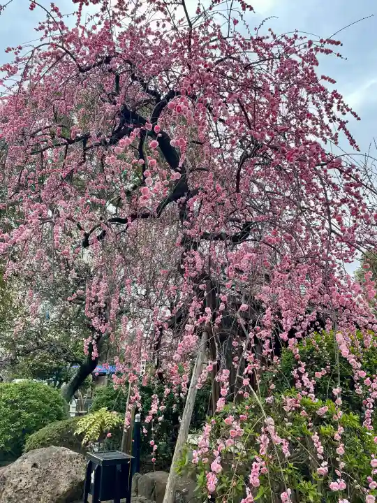 亀戸天神社の{uncategorized: "未分類", other: "その他", undefined: "問題あり", building: "その他建物", grave: "お墓", sacred_gate: "鳥居", guardian: "狛犬", statue: "像", buddha: "仏像", history: "歴史", nature: "自然", garden: "庭園", animal: "動物", pagoda: "塔", temizu: "手水舎", mountain_gate: "山門・神門", sanctuary: "本殿・本堂", subordinate: "末社・摂社", art: "芸術", scenery: "景色", jizo: "地蔵", ema: "絵馬", goshuin: "御朱印", omikuji: "おみくじ", items: "授与品その他", amulet: "お守り", goshuincho: "御朱印帳", eats: "食事", festival: "お祭り", votive_dance: "神楽", shichigosan: "七五三参", wedding: "結婚式", experience: "体験その他", initially: "初詣", around: "周辺", anti_infection: "感染症対策"}