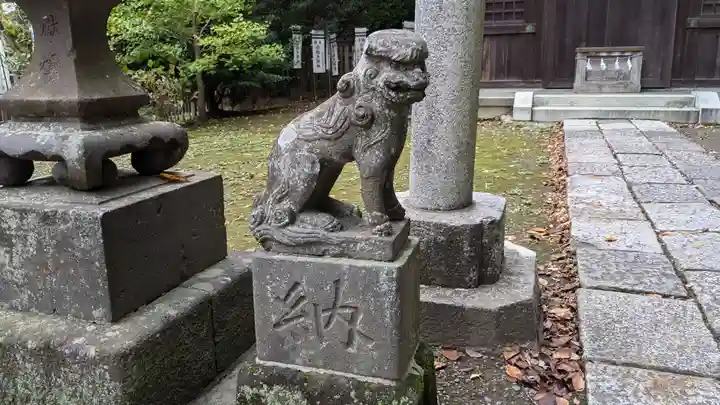 白旗神社(西御門)の狛犬