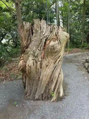 龍尾神社(静岡県)