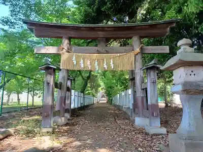馬場氷川神社(埼玉県)