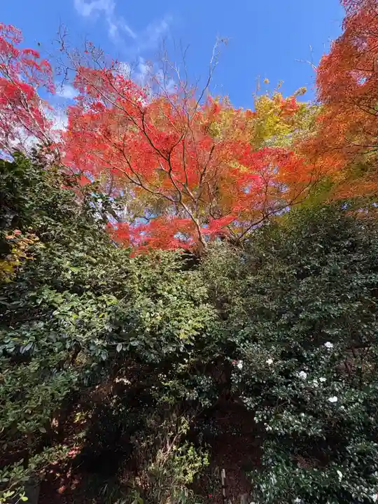 霊鑑寺門跡(京都府)