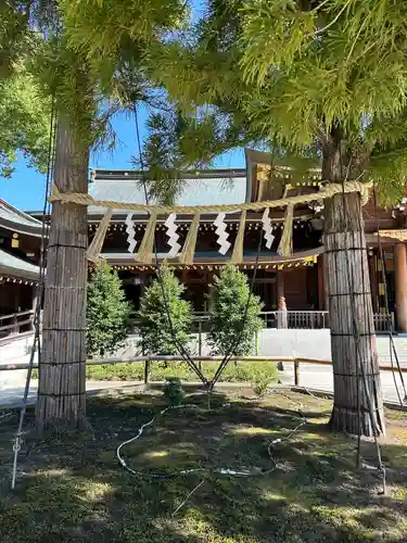 寒川神社(神奈川県)