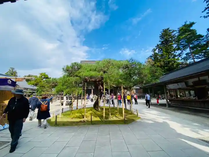 中尊寺(岩手県)