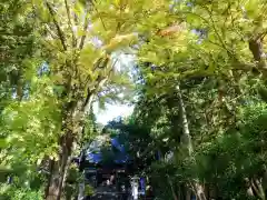 皆神神社(長野県)