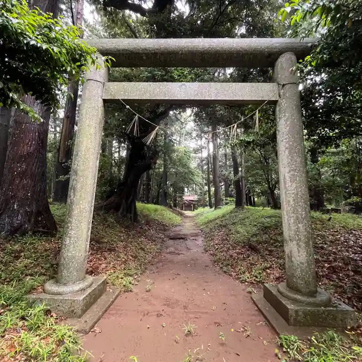 椿ノ海 水神社(千葉県)