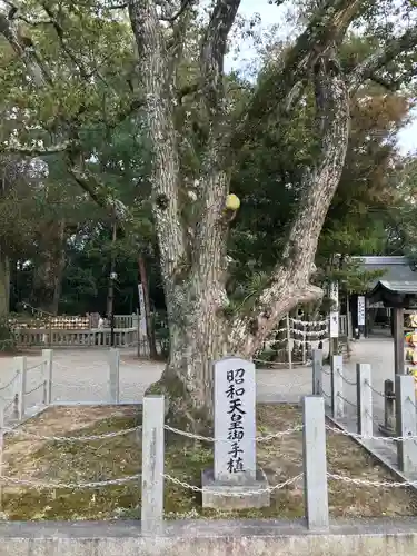 伊弉諾神宮(兵庫県)