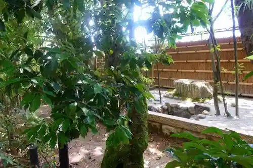 宇治上神社の庭園