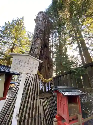 日光東照宮の自然