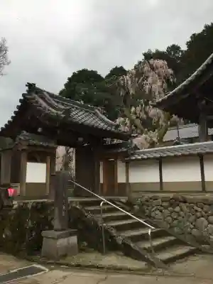 大野寺(奈良県)