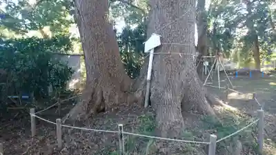 神明宮（御園）の自然