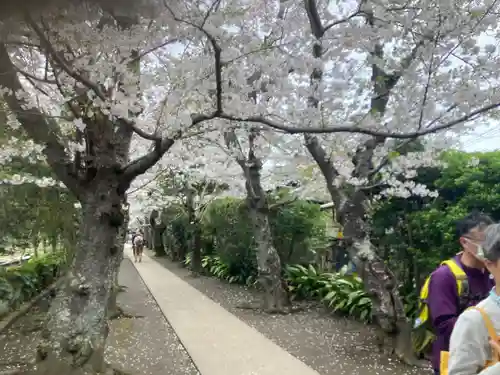 極楽寺（霊鷲山感應院極楽律寺）の景色