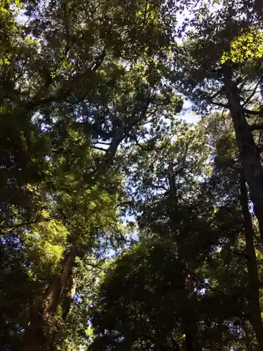 鹿島神宮の自然