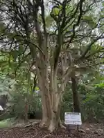 虚空蔵堂(千葉県)