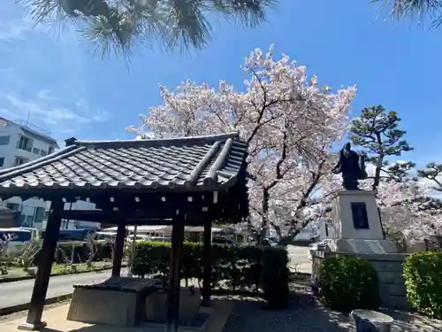 妙蓮寺の手水舎