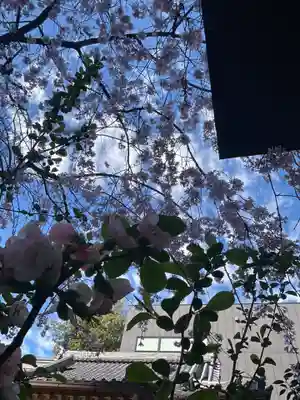 日蓮宗瑞光山久遠寺(愛知県)