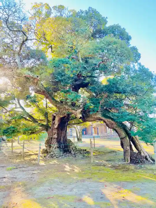 滑河山龍正院の{uncategorized: "未分類", other: "その他", undefined: "問題あり", building: "その他建物", grave: "お墓", sacred_gate: "鳥居", guardian: "狛犬", statue: "像", buddha: "仏像", history: "歴史", nature: "自然", garden: "庭園", animal: "動物", pagoda: "塔", temizu: "手水舎", mountain_gate: "山門・神門", sanctuary: "本殿・本堂", subordinate: "末社・摂社", art: "芸術", scenery: "景色", jizo: "地蔵", ema: "絵馬", goshuin: "御朱印", omikuji: "おみくじ", items: "授与品その他", amulet: "お守り", goshuincho: "御朱印帳", eats: "食事", festival: "お祭り", votive_dance: "神楽", shichigosan: "七五三参", wedding: "結婚式", experience: "体験その他", initially: "初詣", around: "周辺", anti_infection: "感染症対策"}