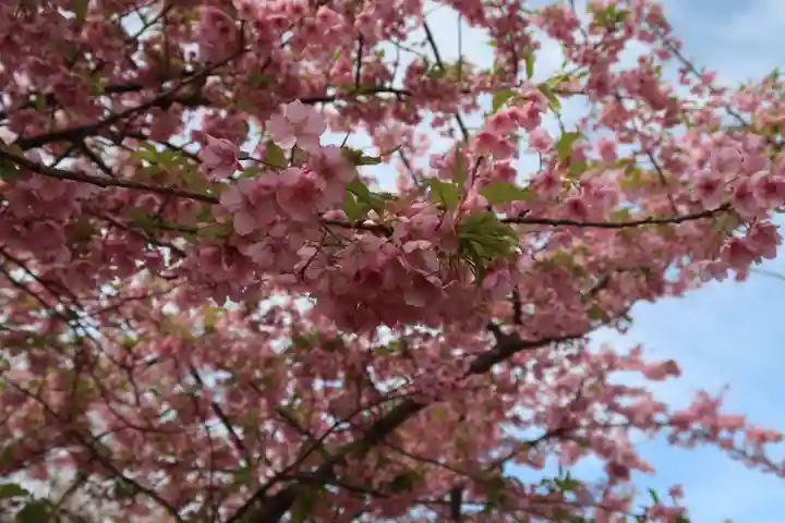 宝乗院(愛知県)
