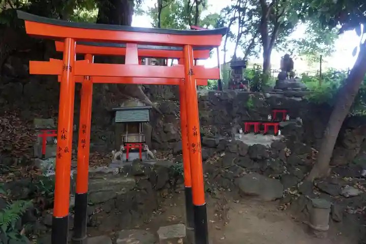 澤蔵司稲荷(慈眼院)の鳥居